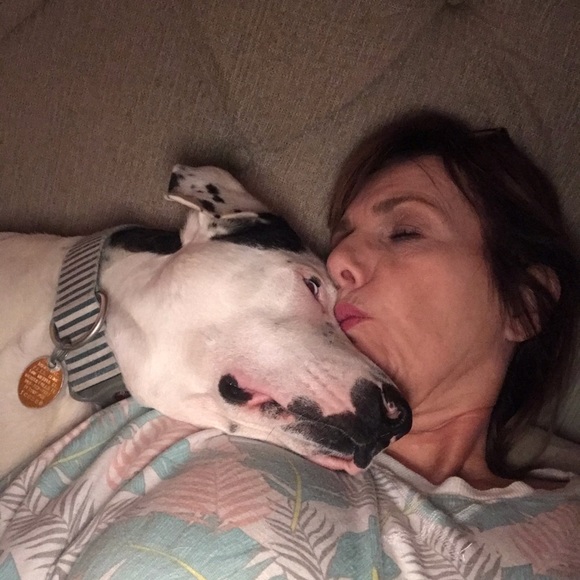 Meet your Posher, Sandy - Picture 9 of 16